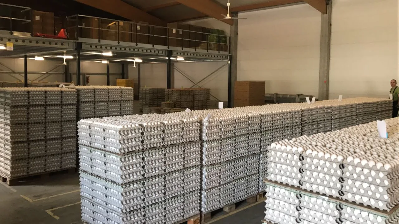 Palettenweise verpackte Eier im Lager