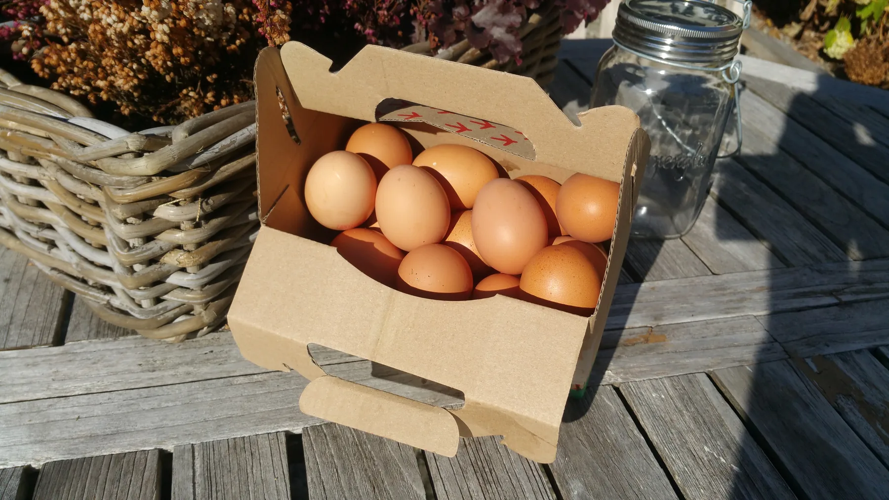 Offenes Eierkörbchen mit braunen Eiern