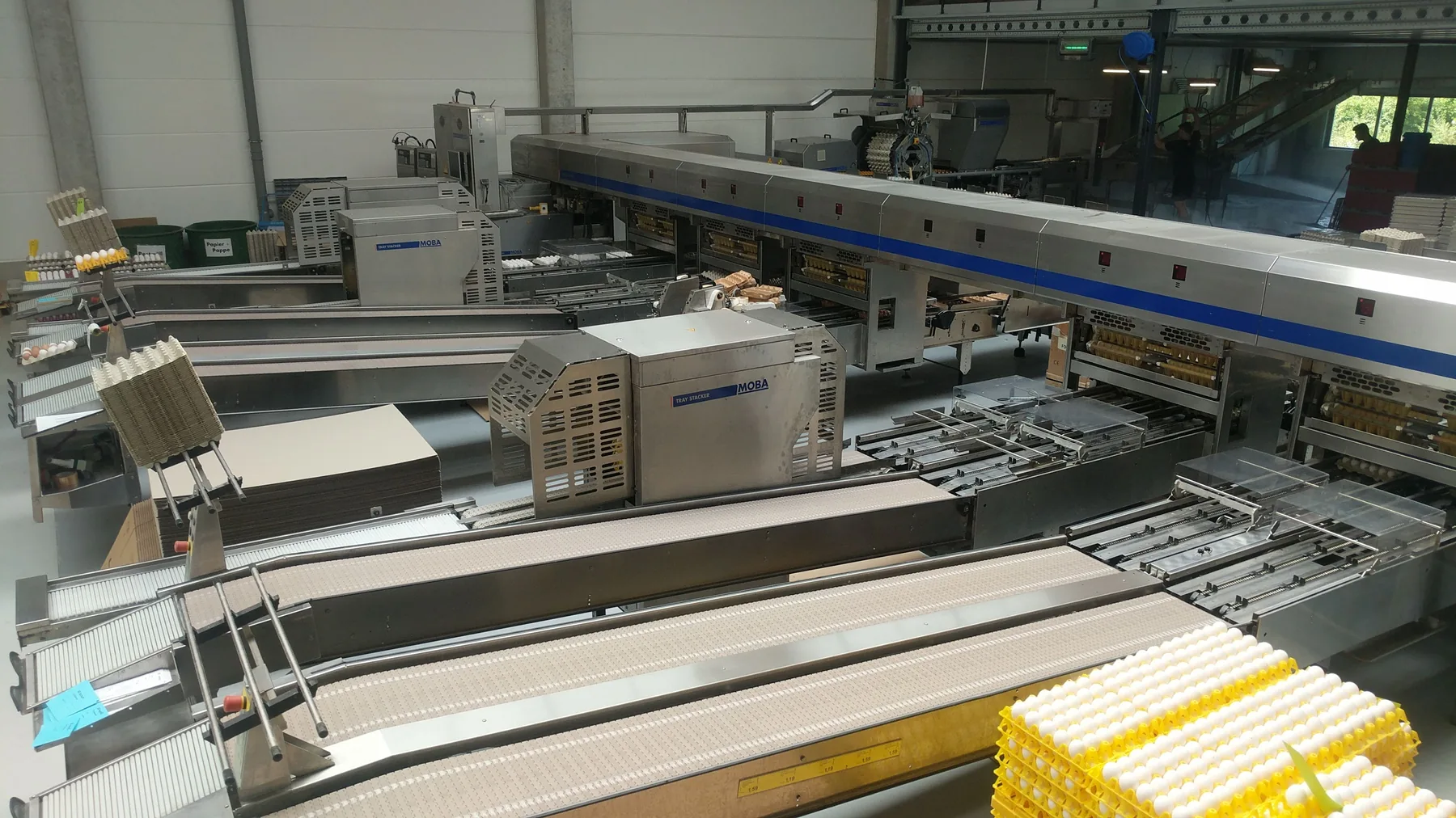 Sortier- und Verpackungsanlage für Eier